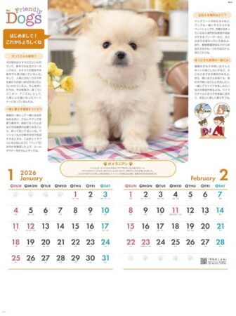 フレンドリードックス/1月2月