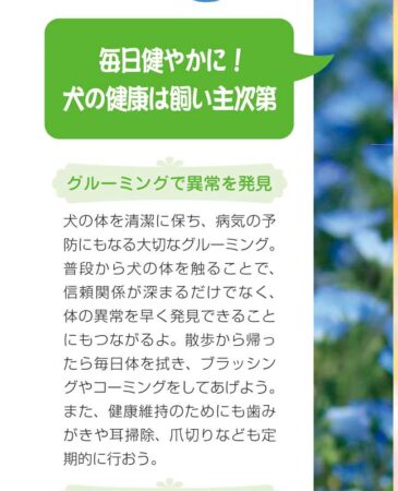 フレンドリードックス/拡大