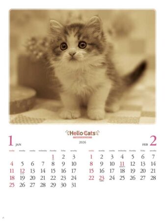ハローキャッツ/1月2月
