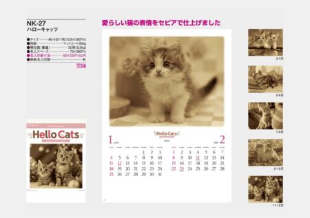ハローキャッツ-7