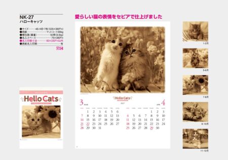 ハローキャッツ/カタログ