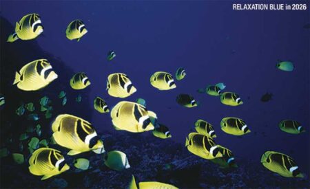 リラクゼーション・ブルー-4