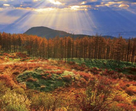 PURE〜心の残る日本風景〜-5