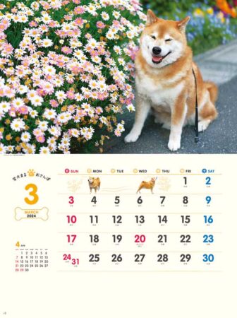 柴犬まるとおさんぽカレンダー/3月