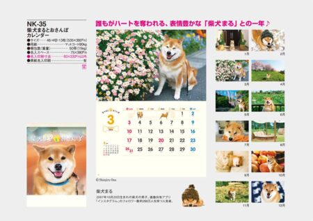 柴犬まるとおさんぽカレンダー/カタログ