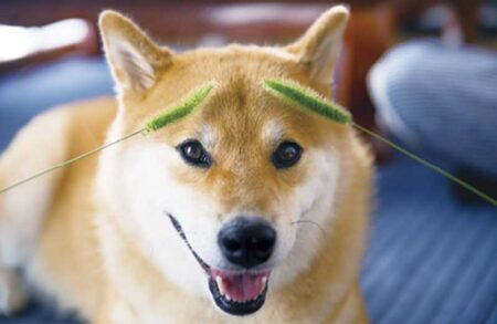 柴犬まるとおさんぽカレンダー-10