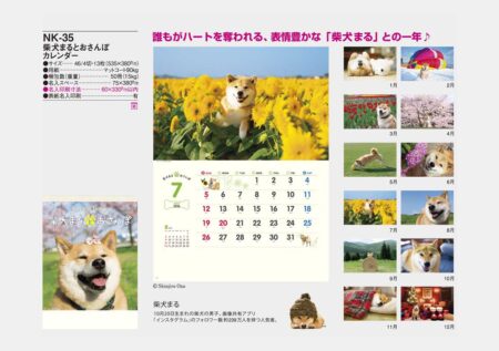 柴犬まるとおさんぽカレンダー-13
