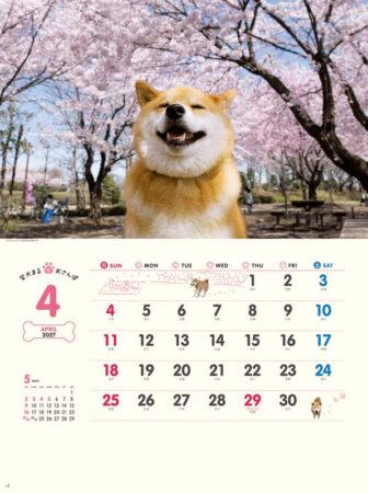 柴犬まるとおさんぽカレンダー/4月