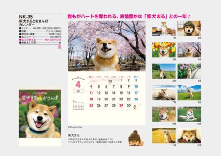 柴犬まるとおさんぽカレンダー/カタログ