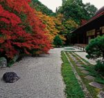 NK-401