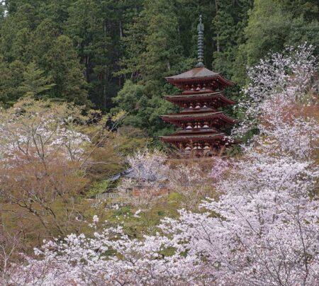 （フィルム）日本の旅想-2