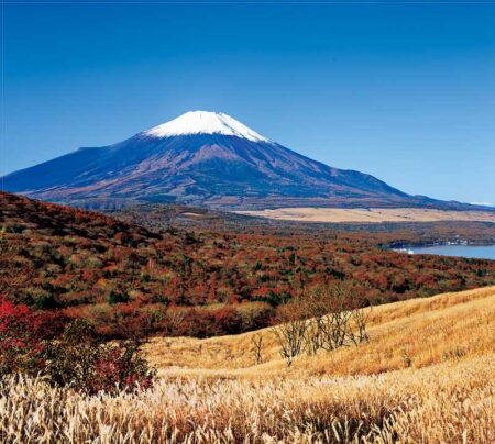 （フィルム）日本の旅想/11月12月
