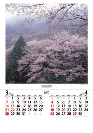 （フィルム）四季　前田真三・前田晃作品集/3月4月