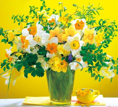(フィルム)花の贈り物/3月4月