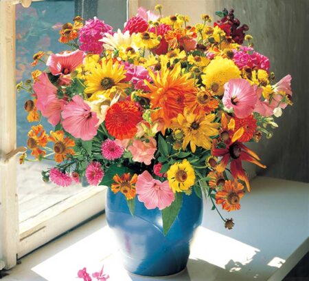 (フィルム)花の贈り物/9月10月