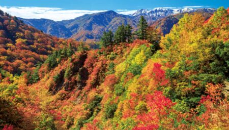 文字月表（風景入り）/10月