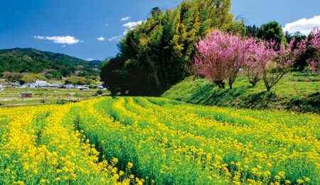 文字月表(風景入り)/3月
