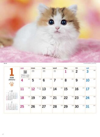 サンキュー・キャット-1
