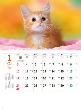 サンキュー・キャット/1月