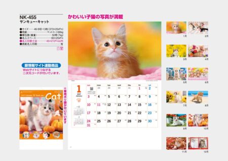 サンキュー・キャット/カタログ