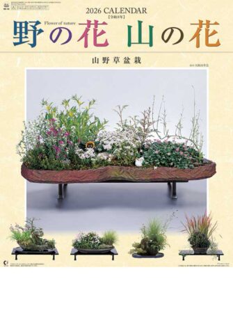 野の花・山の花（山野草盆栽集）