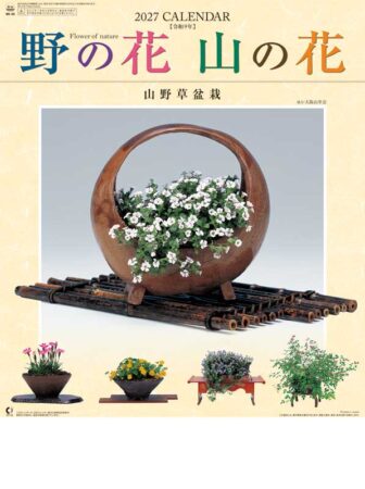 野の花・山の花（山野草盆栽集）