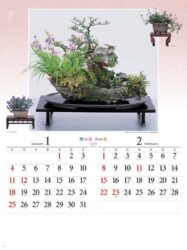 野の花・山の花（山野草盆栽集）
