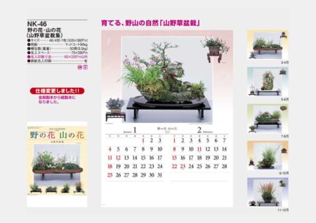 野の花・山の花（山野草盆栽集）-7