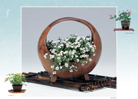 野の花・山の花（山野草盆栽集）/7月8月