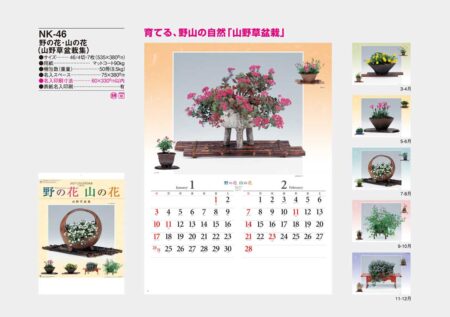 野の花・山の花（山野草盆栽集）/カタログ