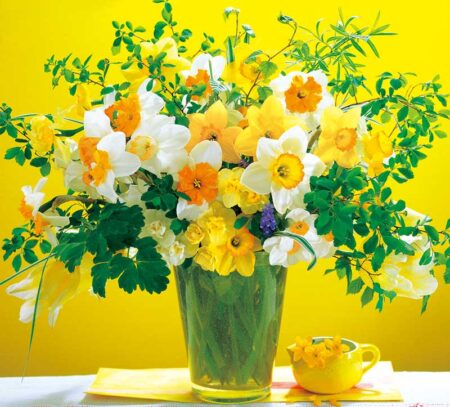 花の贈り物/3月4月