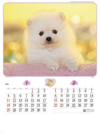チャーミングメイト/1月2月