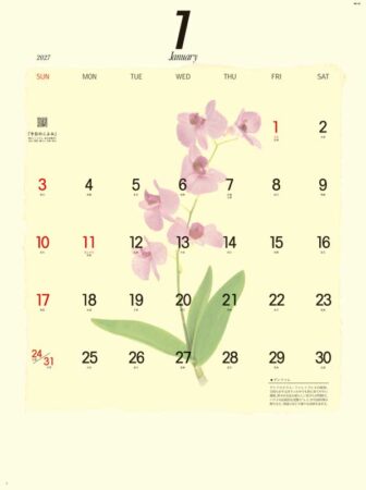 プレス・フラワー(小)/1月