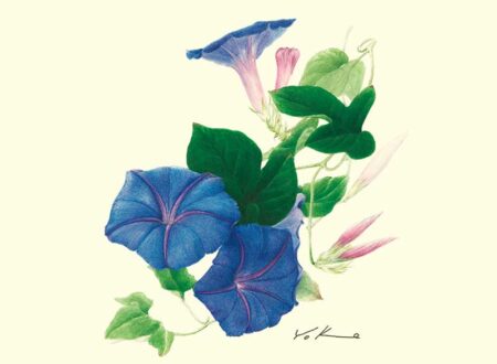 ボタニカルアート/8月