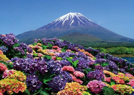 富士十二景/6月