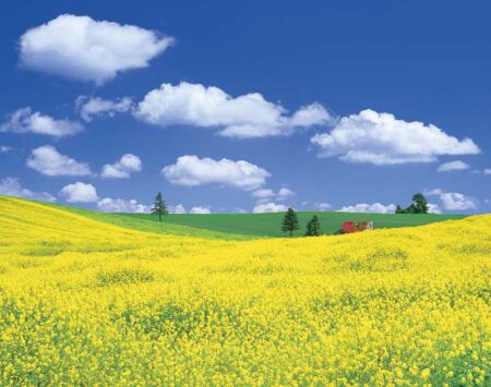 PURE〜心に残る日本風景〜-3