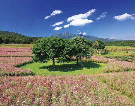PURE〜心に残る日本風景〜-9