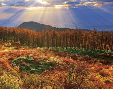 PURE〜心に残る日本風景〜-11