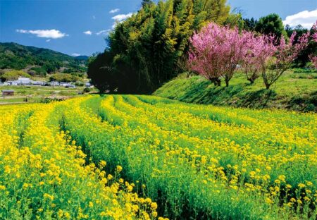 観光文字風景（小）/3月