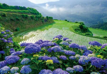 観光文字風景（小）/6月