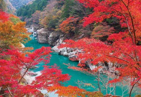 観光文字風景（小）/11月