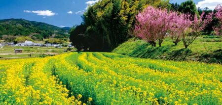 観光文字風景/3月