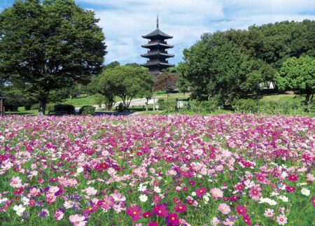 四季の日本-9
