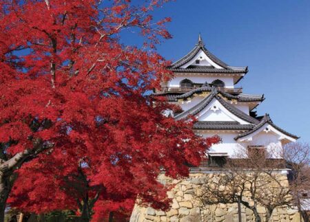 四季の日本-11