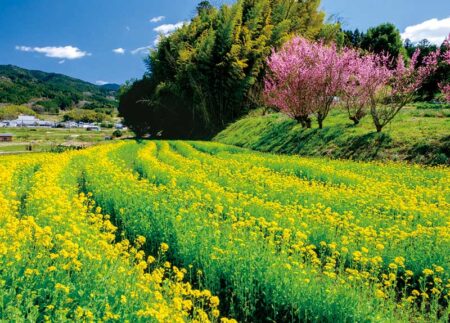 四季の日本/3月