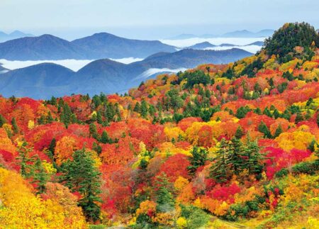 四季の日本/10月
