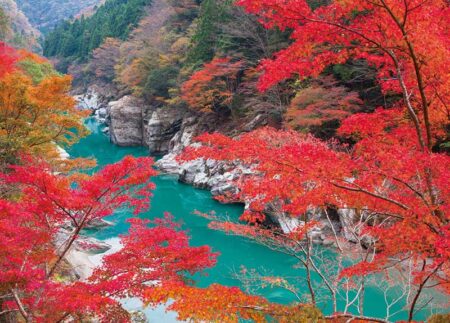 四季の日本/11月