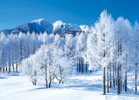 四季の日本/12月