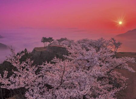 和の彩り-4