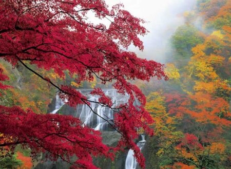和の彩り-11